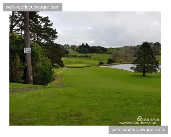 通讯：残疾军人高尔夫巡回赛年度总决赛，感人故事与竞技精神并存