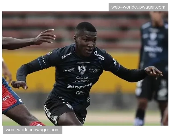 意甲转播权谈判进入关键阶段，俱乐部收入分配方案引关注